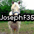 A four- shows a horse, rider, and text overlays with pixelated details