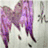 Pixelated anime-style character with purple hair and wings on left, pink heart-shaped text box on right reading 'Don't You See Me Staring All the Time?' in blue pixel font.
