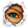 Four square show a single eye's animation through open, closed, and blinking states with teal iris