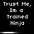 Black background with white pixelated text reading "Trust Me, Im a Trained Ninja" arranged in a of six identical , each separated by a horizontal white gradient bar