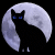 Black cat silhouette with blue eyes against a large textured moon, one version shows a bright light effect on the cat's face.