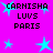 Pixelated cyan stars on a bright magenta background with repeated black text reading CARNISHA LUVS PARIS in two