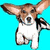 Pixelated dog with brown and white fur against cyan background, next to text 'I believe i can FLY!' on cloud-patterned blue sky.