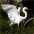 Animals icons for AIM, MSN, MySpace and Yahoo