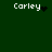 Green background with white text 'Carley' and four distinct pixelated animations: a heart, a star, a dot cluster, and a static text.