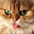 iconhell_enchantingbebee_lickme