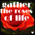 A static pixelated image of a red rose with white text overlaid, set against a dark green background.