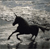 Fantasy icons for AIM, MSN, MySpace and Yahoo