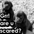Black-and-white pixelated image of a person in a hoodie with text reading 'Gm! are u scored?' in blocky font.