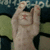 A pixelated image shows a light-skinned hand holding a small dark object against a blurred background with green and blue tones.