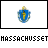 Massachusetts state seal icon with blue shield, yellow figure, green wreath, and crown atop a white background across multiple frames showing text variations.