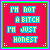 Red background with cyan border displaying text "I'M NOT A BITCH I'M JUST HONEST" in blue pixelated font, showing animation variations across frames.