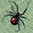 Pixelated spider icon with black body, red hourglass marking on abdomen, and eight gray legs against light green checkered background.