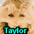 A pixelated image of a person with blonde hair, featuring text overlays in cyan, purple, and red.