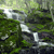 Pixelated green and white abstract composition with indistinct shapes resembling foliage and light patches against a blurred background.