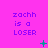 A bright pink background displays repeated text 'zachh is a LOSER' in purple pixelated font with green plus and X symbols scattered across the