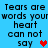 Blue background with pixelated text reading 'Tears are words your heart can not say' and two hearts, one red and one purple.
