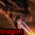 A four- shows a dragon's head with metallic scales and glowing eyes, each displaying the word "Dragon" in different colored text