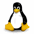 Pixelated penguin with black head and wings, white belly, yellow beak and feet stands against white background next to blue text.