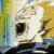 A pixelated animated sequence showing a character's face with changing mouth positions against a yellow and blue background.