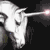 Animated contact sheet of a unicorn's head with glowing horn and closed eyes, displayed in 6 frames across a grid layout.
