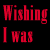 A contact sheet of 10 animated frames showing a text-based animation with red and white text on black background, displaying variations of the phrase "Wishing I was With Her" across multiple repetitions.