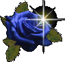 nine rose icons with varying colors, each featuring a central starburst effect and green leaves