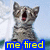 Pixelated image of a gray tabby cat with dark stripes, mouth open in a yawn or meow, against a light blue sky background.
