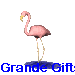 Animated pink flamingo standing on one leg with yellow beak and legs, shifting weight between legs across frames, blue pixelated text below.