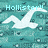 Pixelated image with teal background, white wave graphic, and light blue text reading 'Hollister!!' at top.