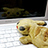 Flickr: The Help Forum: Can't see any images (China June 7th 12.30pm) 中国－看不见图片