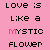Animated text sequence on pink background with 'LOVE IS LIKE A MYSTIC FLOWER' cycling through color variations of black, red, and blue.