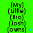 Green background with repeated text blocks reading "(My) (Little) (Bro) (Josh) (owns)" and blue symbols changing across three