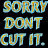 Animated contact sheet showing two identical frames of pixelated text reading "SORRY DON'T CUT IT." in yellow and cyan gradient letters on black background.