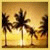 Tropical sunset scene with palm trees silhouetted against a golden sky, water reflecting light at the horizon.