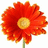 A static pixelated image of a red-orange flower with yellow center and green stem against white background.
