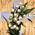 Holiday icons for AIM, MSN, MySpace and Yahoo