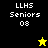 Four display 'LLHS Seniors 08' text with a yellow star in the top-right and black star in bottom-left, each using distinct background colors