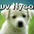 A white puppy with dark eyes and nose appears in four ; the top-left shows partial text above its head