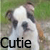 Pixelated image of a white dog with dark patches on its face and ears, standing outdoors with green grass in the background.