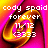 Pixelated text overlays a swirling orange and pink background with two identical showing 'cody spaid forever 11/12 (333)' on the left, while the right displays different names