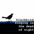 Black bird silhouette perched on a blue horizontal line with pixelated background elements.