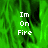 Green flame background with white text "Im On Fire" in three , displayed across multiple with one showing a gray area