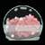 A spherical glass container holds pink brain-like matter with white speckles, floating in a light gray liquid against a black background.