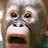 Pixelated close-up of a cartoon monkey face with wide eyes and an open mouth, rendered in muted browns and grays against a blurred background.