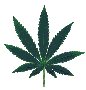 Animated sequence of a green cannabis leaf icon in various sizes and orientations against a white background.