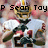 Pixelated static image of a character with a golden helmet, white shirt, dark vest, and green pants, holding a red object, with text "P Sean Toy" above.