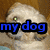 A four- shows a dog's face with text overlays changing , set against a brown background