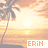 Pixelated sunset scene with palm tree silhouette on left, bright sun over water horizon, and 'ERiN' text in coral-colored block letters at bottom right.