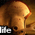 A pixelated image shows a golden mushroom with a glowing cap and stem against a brown background, with the word 'life' in white text on black at bottom left.